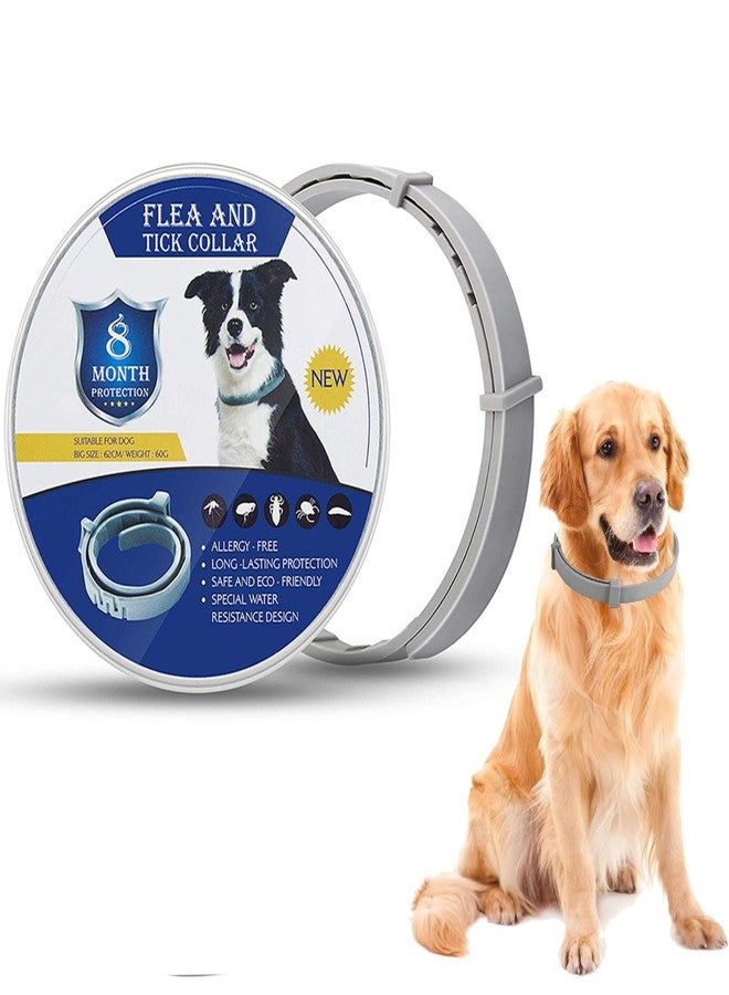 MANRUK™ Adjustable Waterproof Flea & Tick Collar for Dogs - 8-Month Protection with Natural, Safe Ingredients | Adjustable, Safe, and Water-Resistant Dog Collar for All Breeds - Image 1
